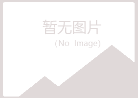 青山区小夏咨询有限公司